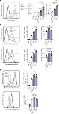 Non-Stimulatory pMHC Enhance CD8 T Cell Effector Functions by Recruiting Coreceptor-Bound Lck